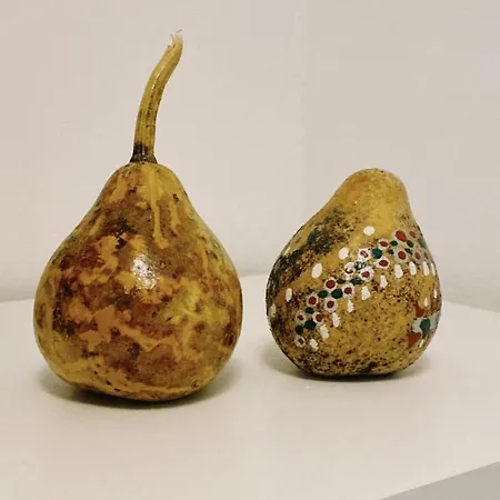 شقة Smokva بلغراد