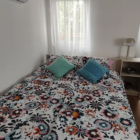 Smokva * 贝尔格莱德